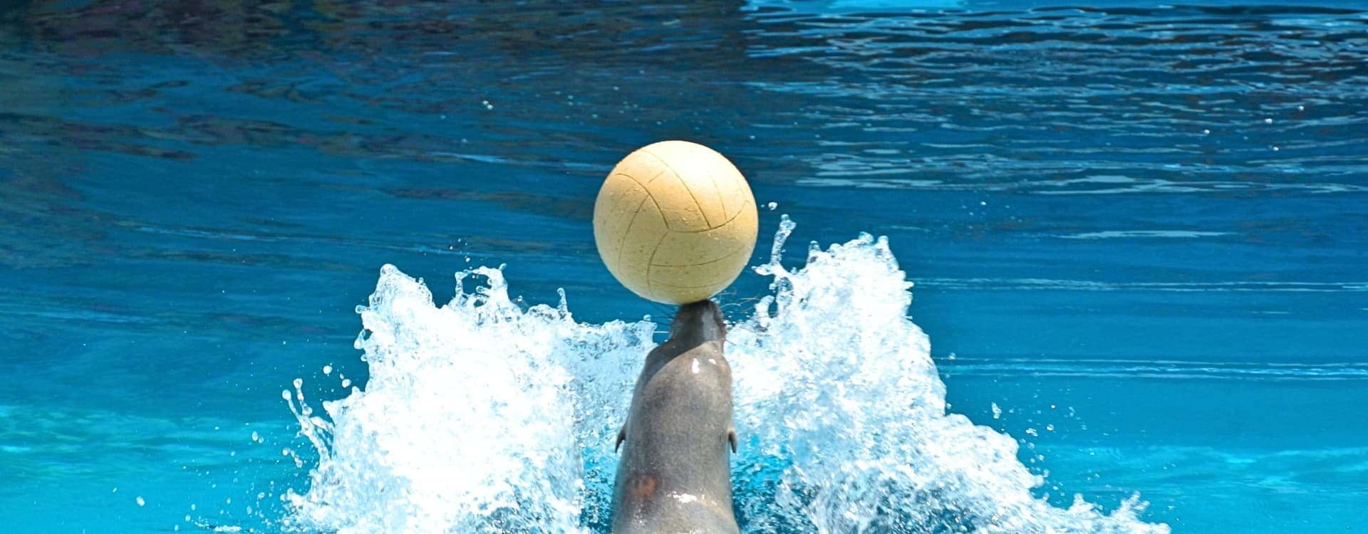 34757109_m.1024.jpg